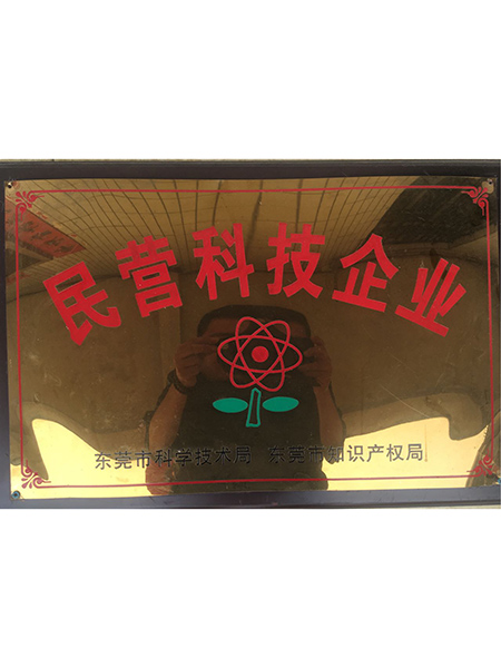 民營科技企業(yè)